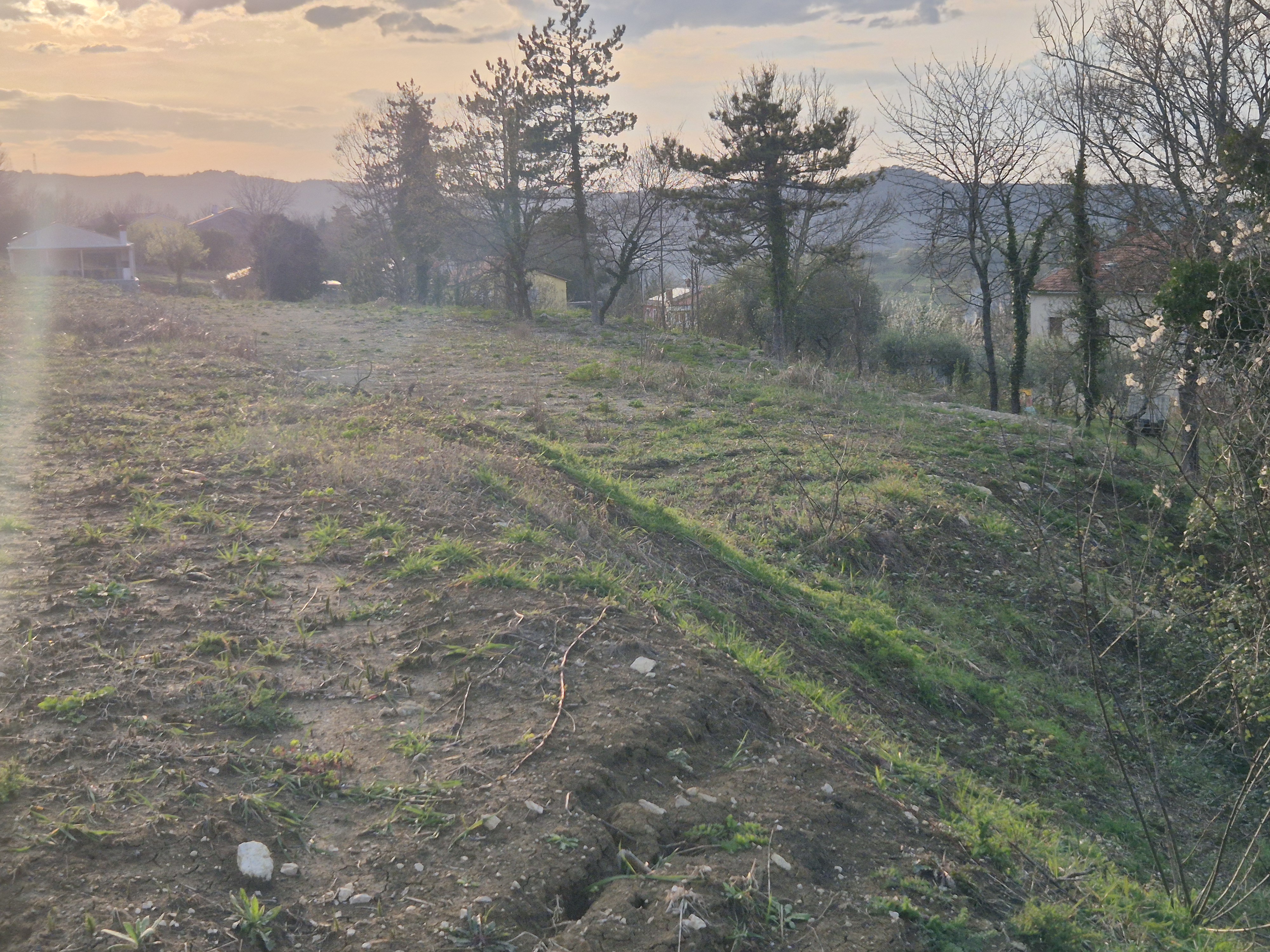 Eastern Part — view 7