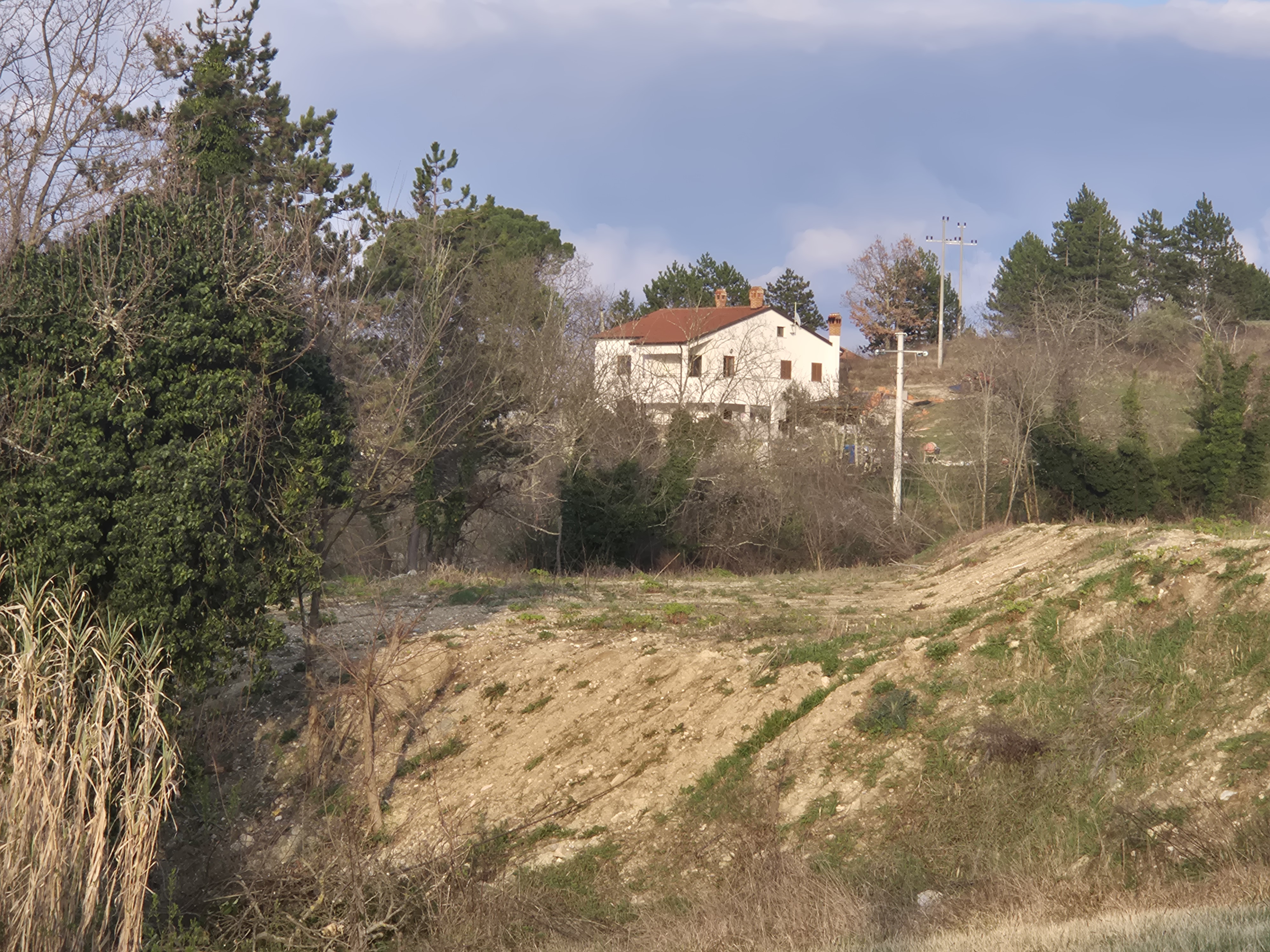 Eastern Part — view 9